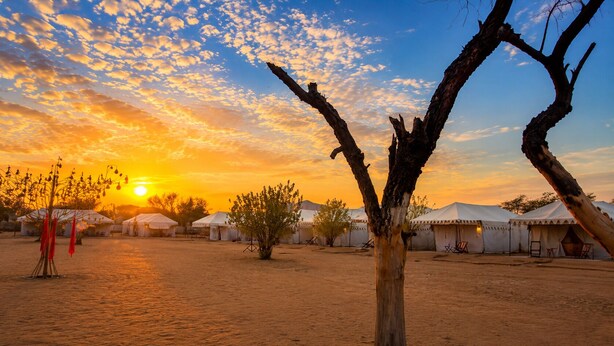 A desert landscape with tents and a tree in the foreground. - The Hukum Desert Camp (Jaisalmer)