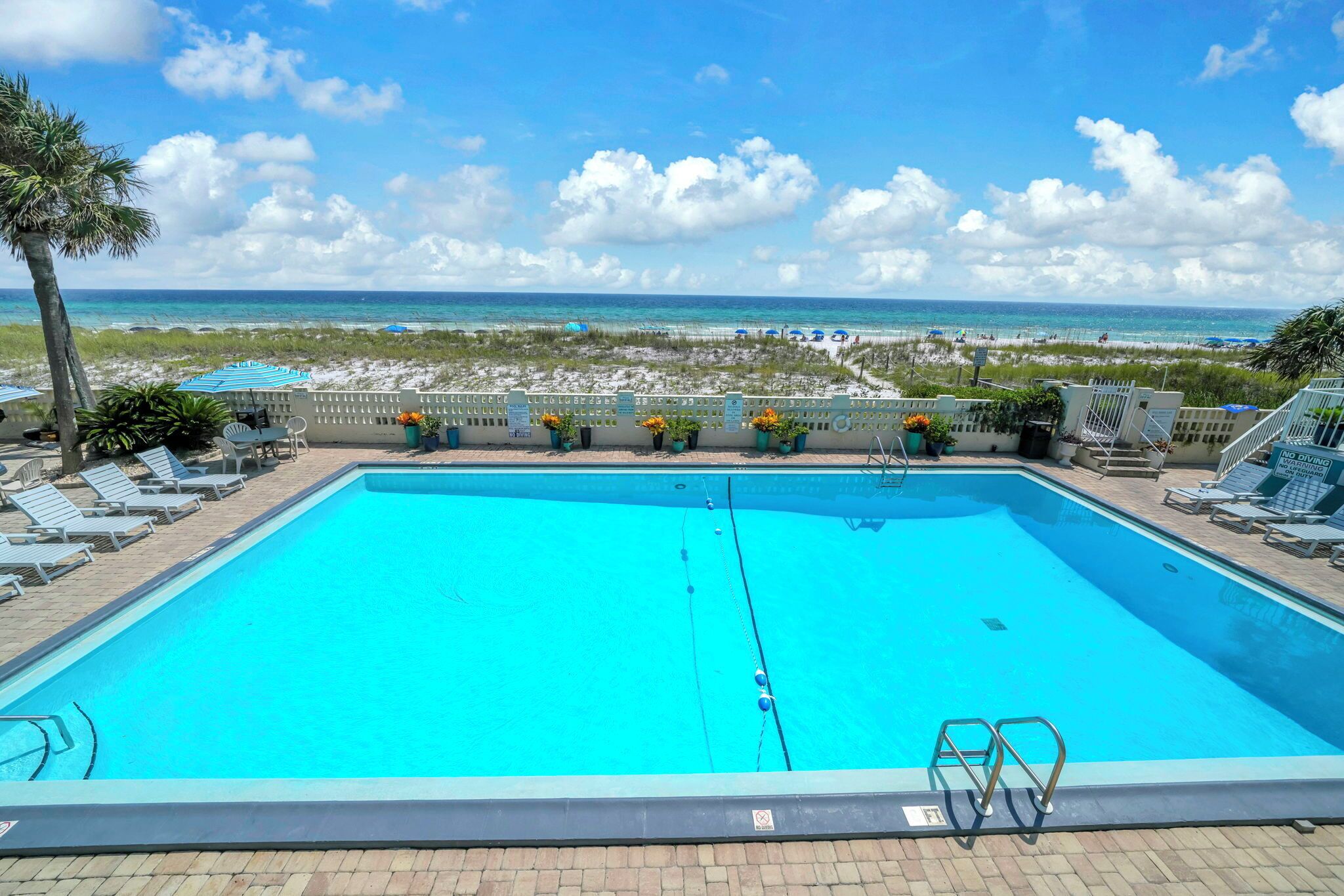 A clear blue swimming pool with a view of the beach and ocean.