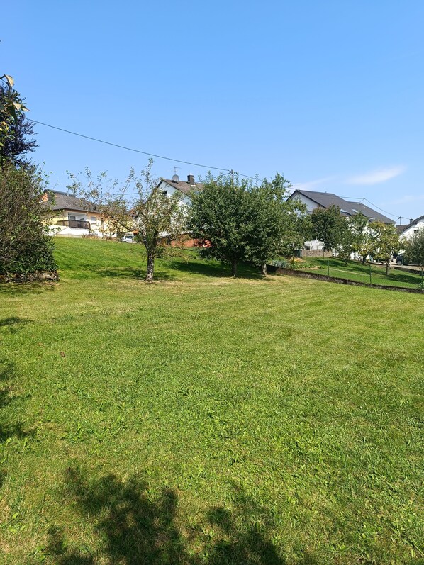 Property grounds - Cozy Vacation Rental "Haus Anna" in the Beautiful Hochwald (Baldringen)