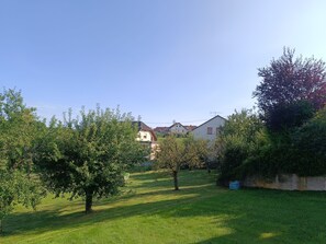 A residential area with houses, trees, and a clear sky.