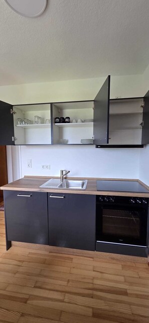 A kitchen with a built-in oven, a sink, and a cabinet with glassware. - Cozy Vacation Rental "Haus Anna" in the Beautiful Hochwald (Baldringen)