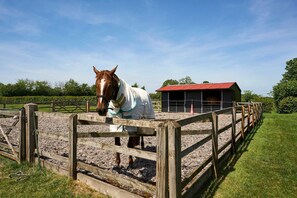 A horse in a stable with a red roof, surrounded by a wooden fence and a grassy field. - Host Stay Snowy Owl Barn (Thetford)