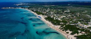 An aerial view of a coastal area with a beach, buildings, and greenery.