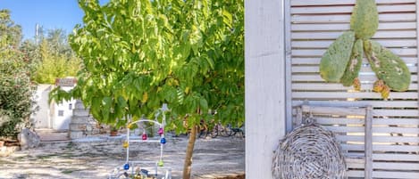Puutarha-alue, jossa on puu, metallinen rakenne, johon on ripustettu valaisimia, ja kaktuskoriste.