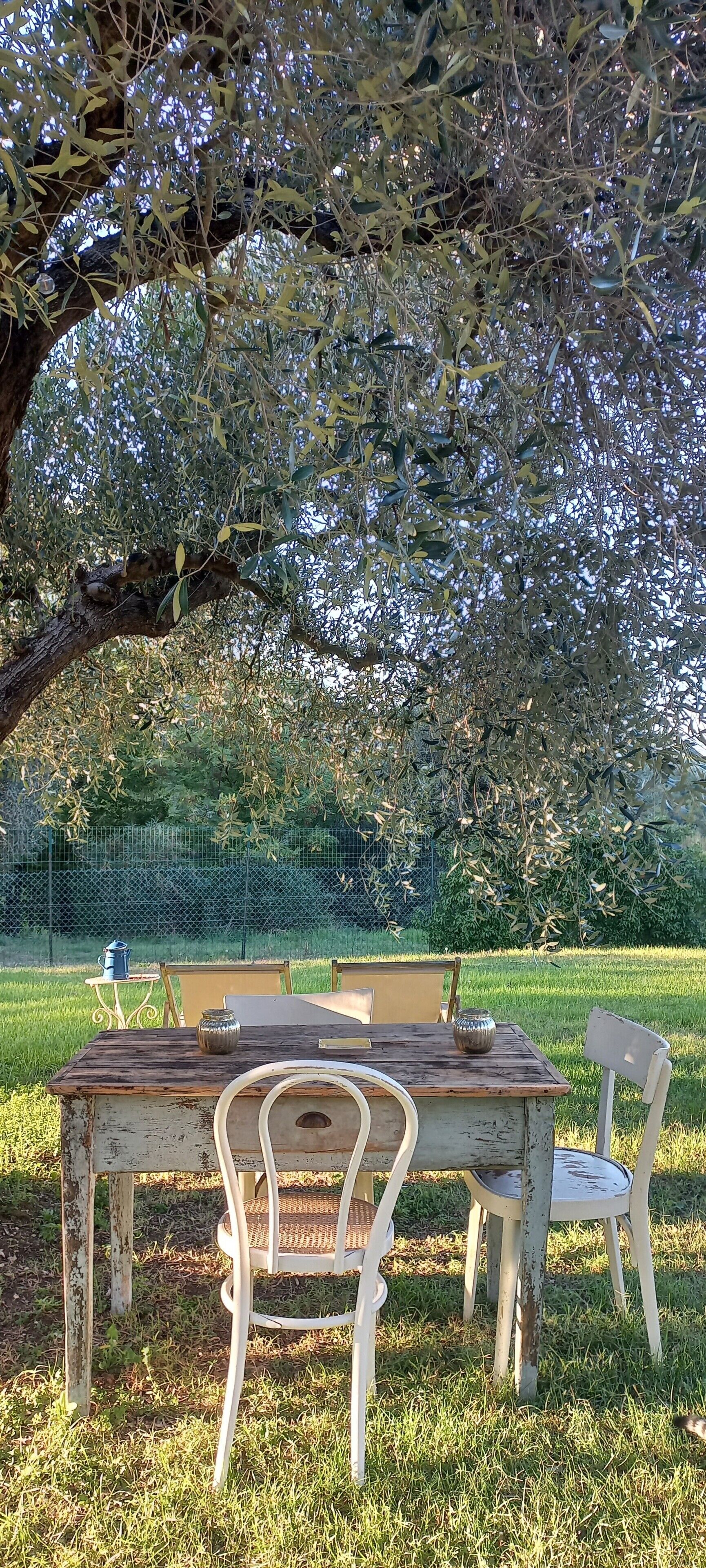 Una mesa y sillas rústicas al aire libre bajo un árbol grande en un césped.