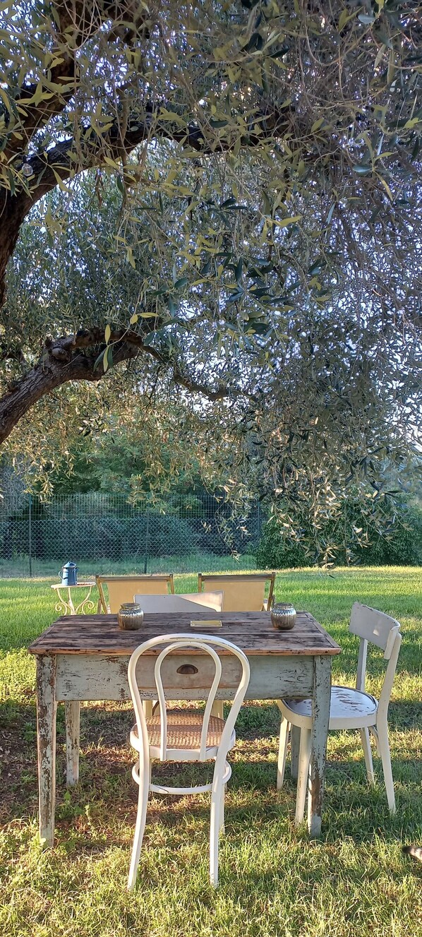 A rustic outdoor table and chairs under a large tree in a grassy area.