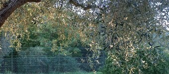 « Giardino Antico » avec jardin commun et Wi-Fi