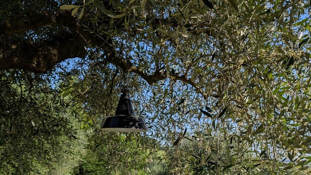 Ein Essplatz im Freien mit Speisen und Getränken, umgeben von Stühlen und einer Lampe, unter einem Baum.