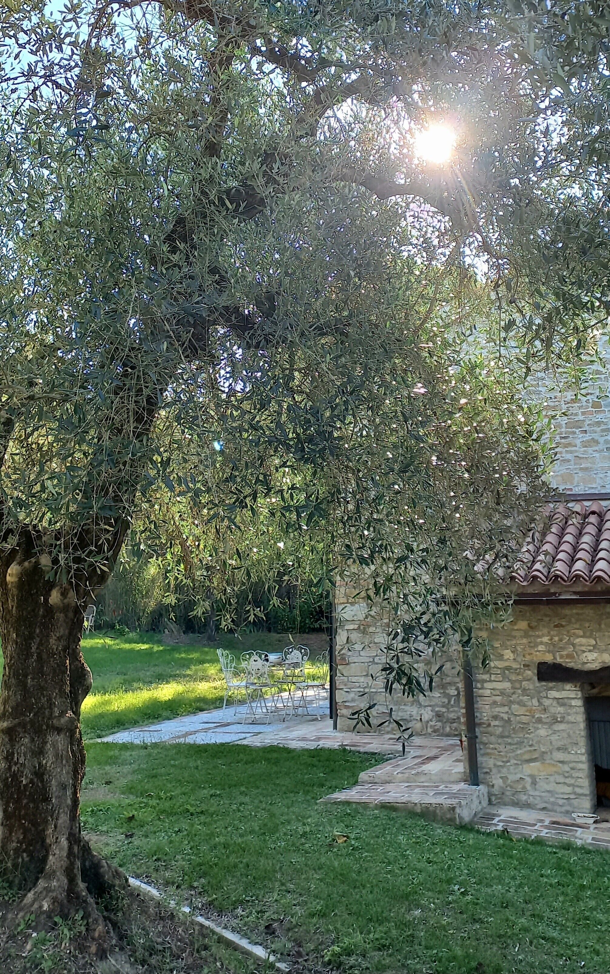 A stone building with a tiled roof, surrounded by a grassy area and a tree with dense foliage.