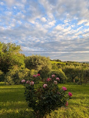 Jardines del alojamiento