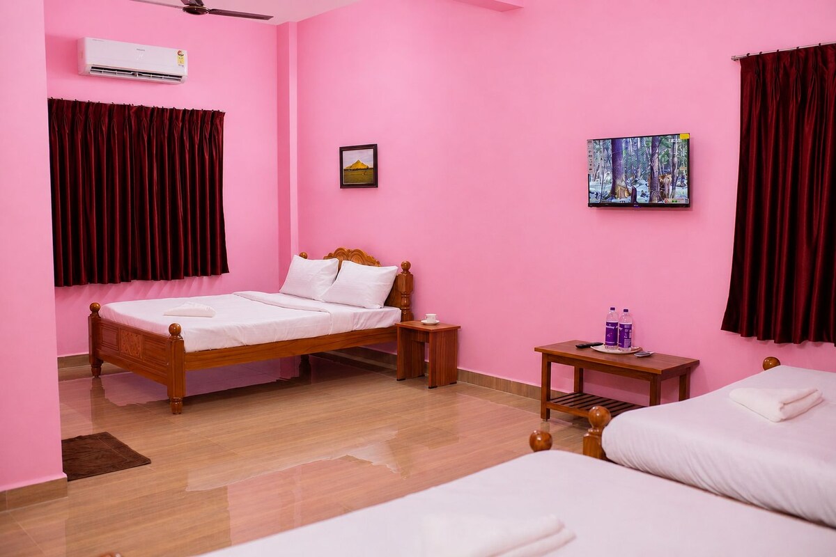 A pink-themed hotel room with a wooden bed, a small bedside table, a flat-screen TV, and a sofa.