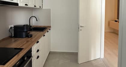 Green Pine Studio Hils Brauner - Free Parking - Nearby Metro Station