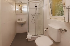 A bathroom with a glass-enclosed shower, a toilet, a sink, and a mirror.