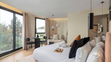 Standaard studio suite, uitzicht op de stad | Gratis wifi
