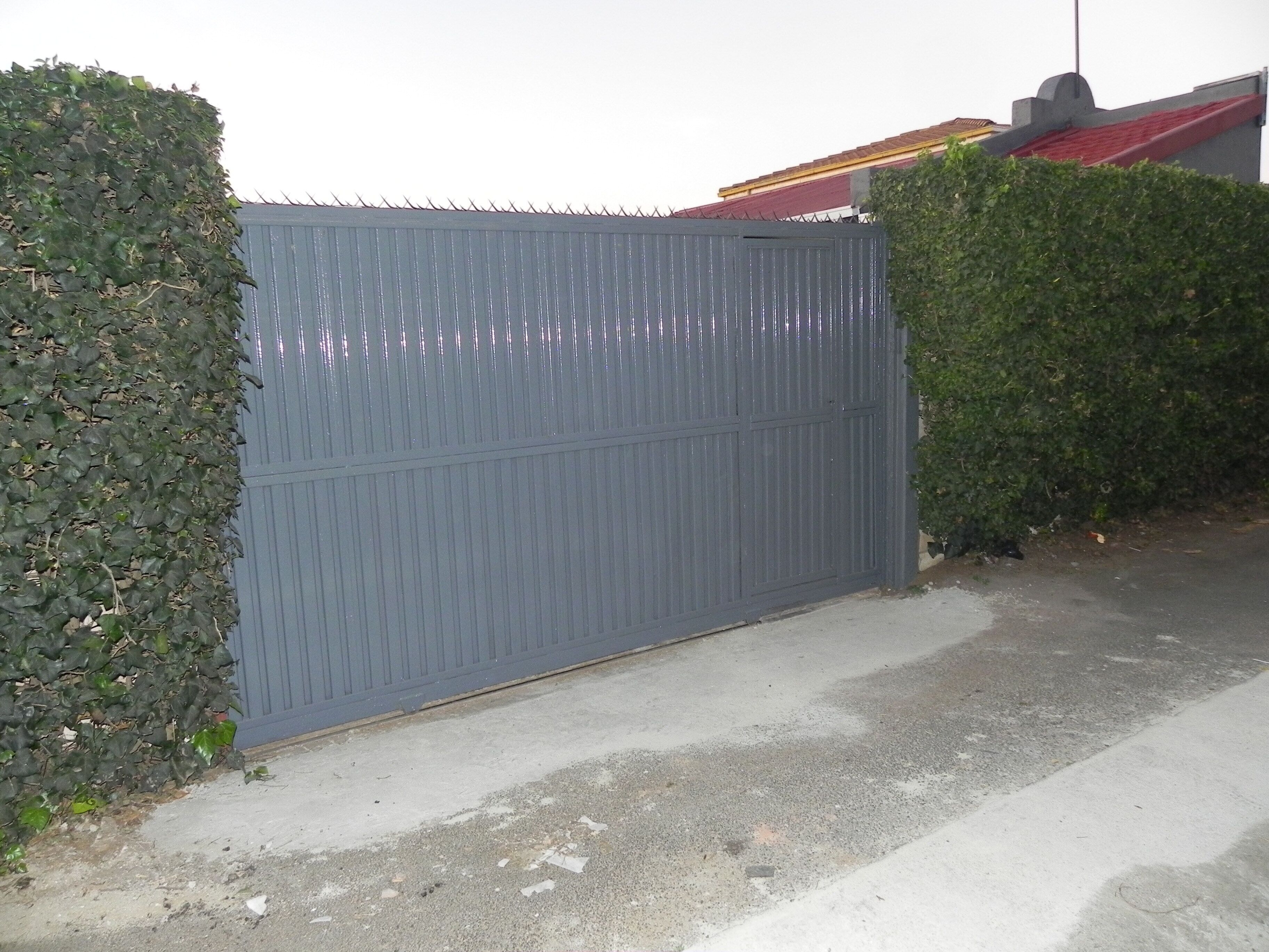 A metal gate with a vertical bar design, adjacent to a hedge.