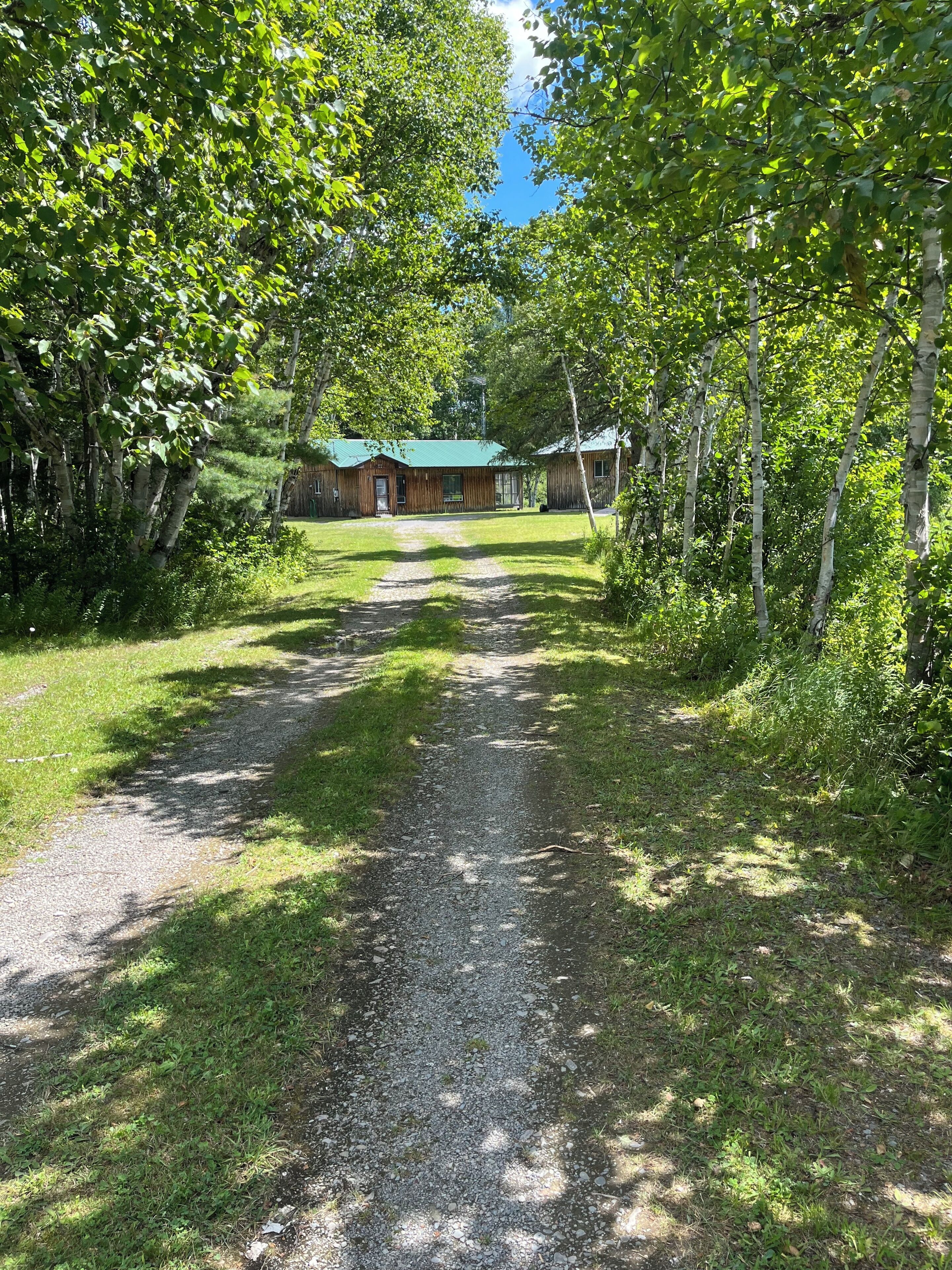A gravel path leading to a wooden cabin with a green roof, surrounded by dense trees.