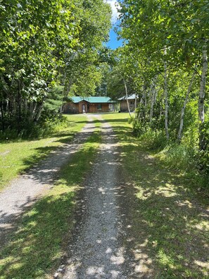 A gravel path leading to a wooden cabin with a green roof, surrounded by dense trees.