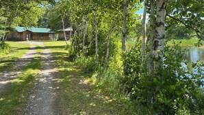 Un chemin de gravier mène à un chalet rustique à toit vert, entouré de bouleaux et bordé d’un lac.