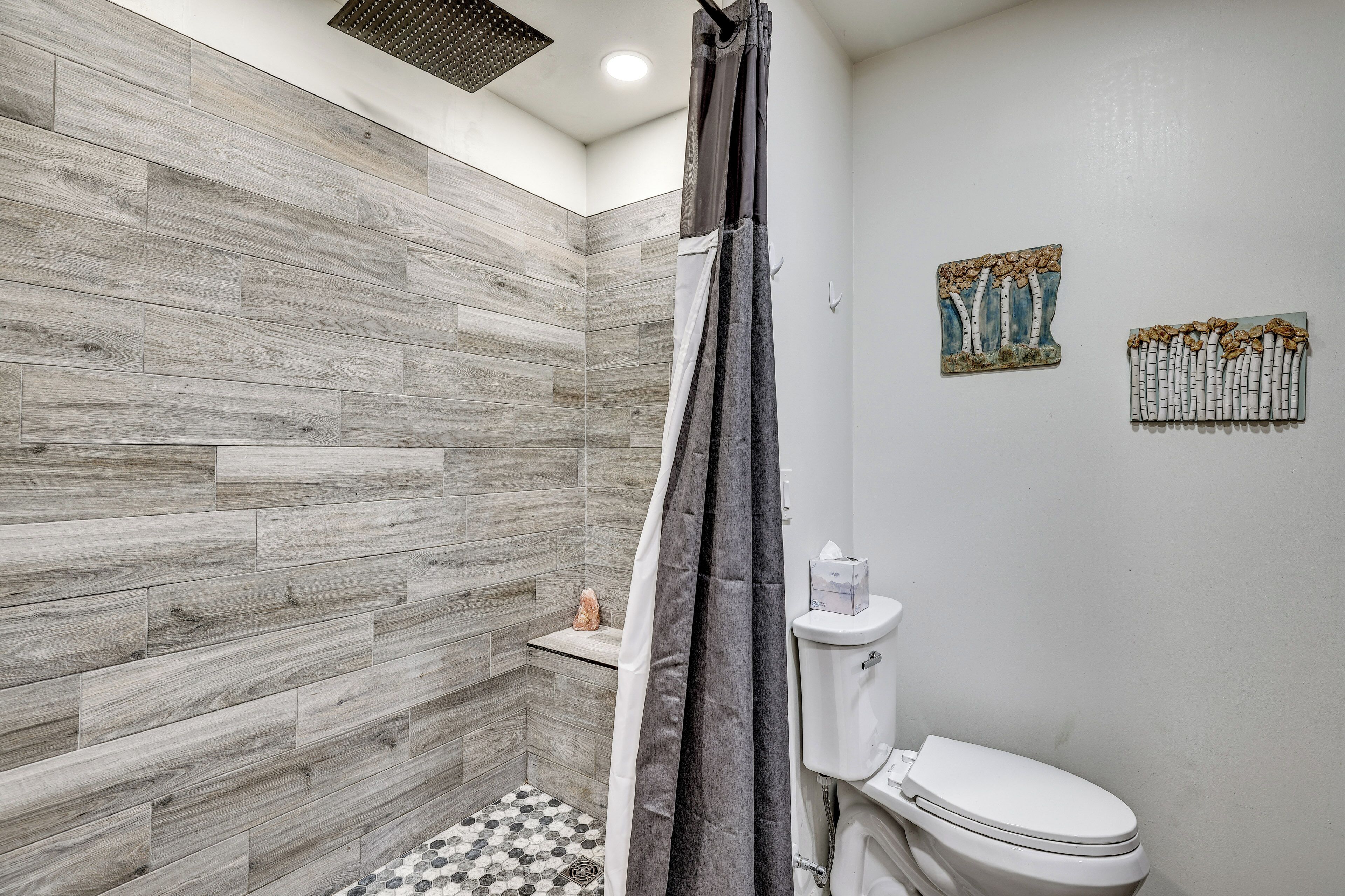 Ein Badezimmer mit Dusche, Toilette und dekorativen Wandbildern.