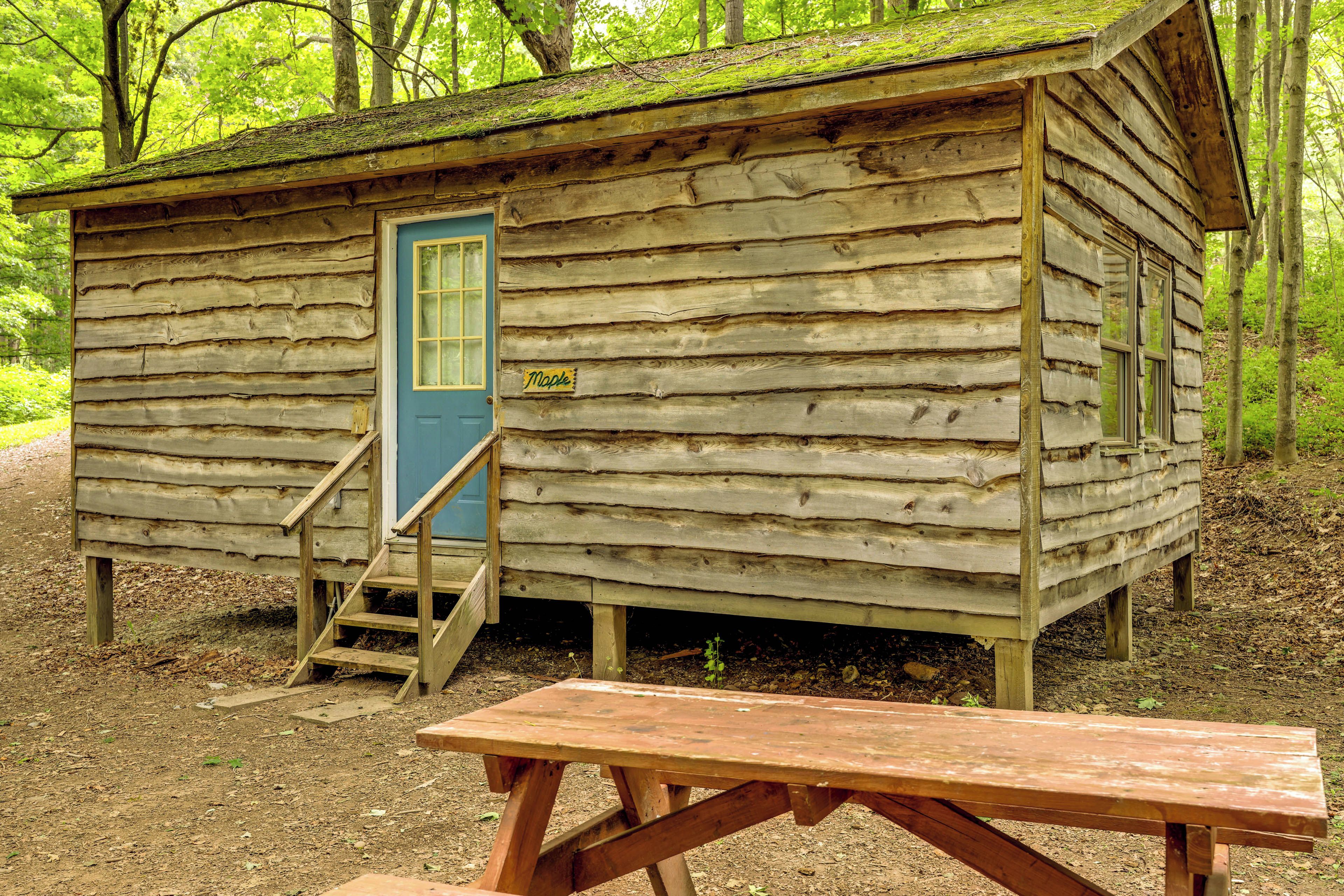 A rustic cabin with a blue door, wooden steps leading up to it, and a picnic table in front.