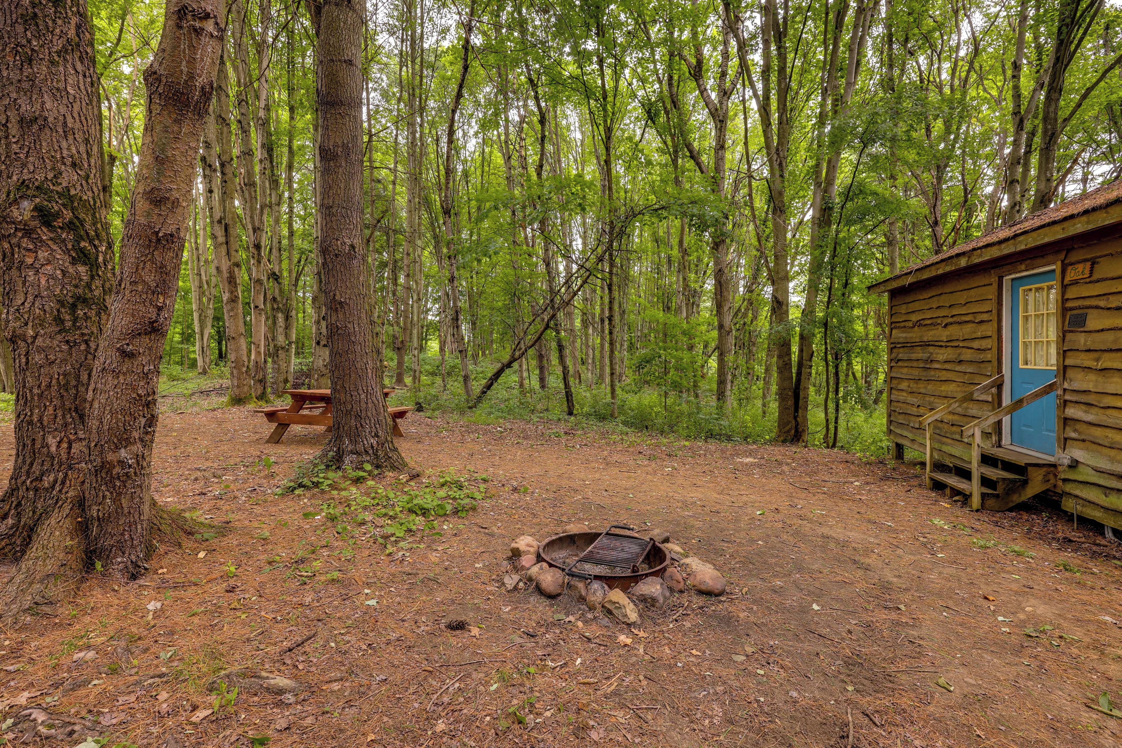 A rustic cabin in a forest with a fire pit and picnic table.