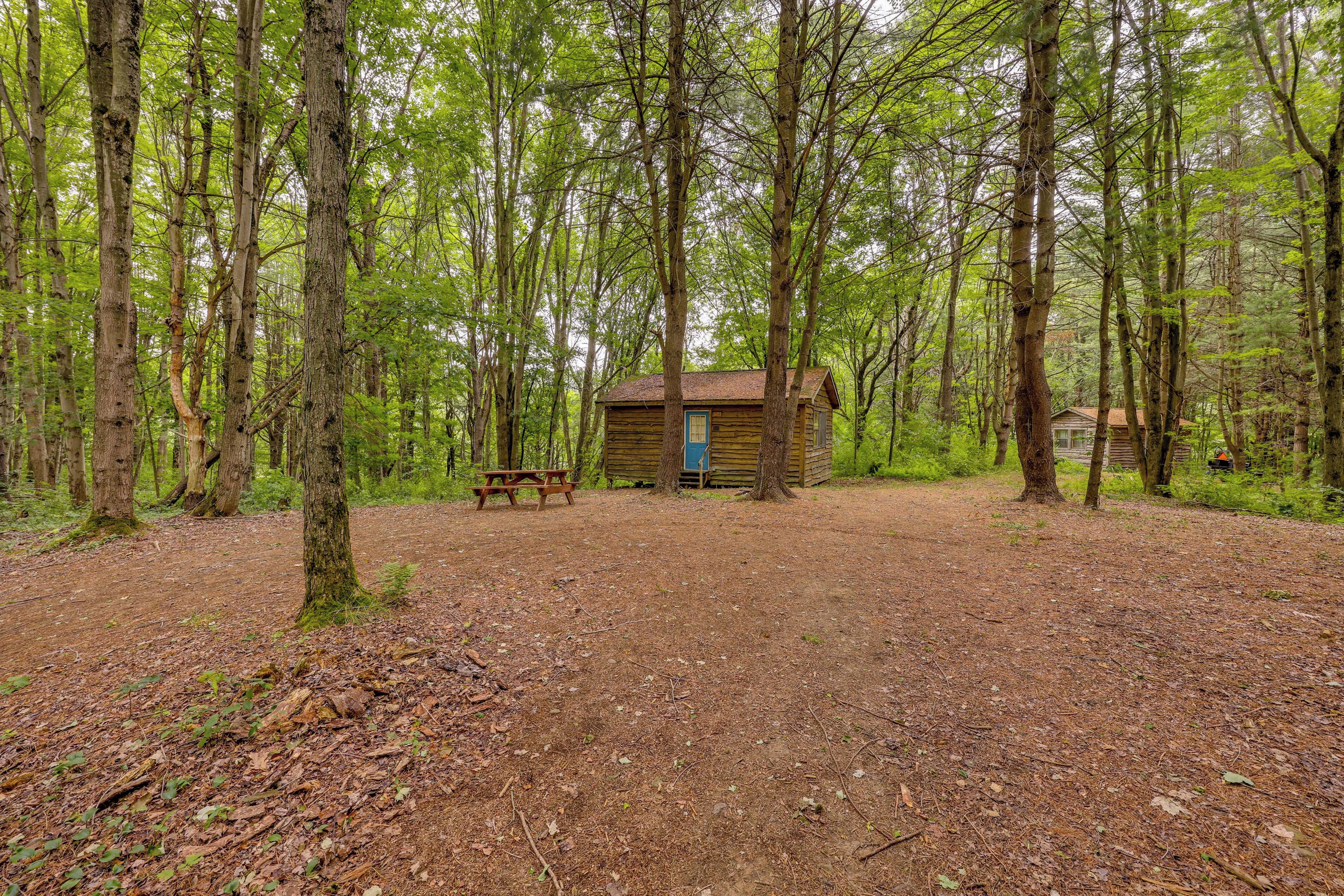 A rustic cabin surrounded by tall trees in a forest.