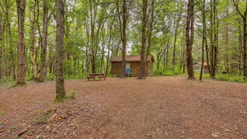 A rustic cabin surrounded by tall trees in a forest.