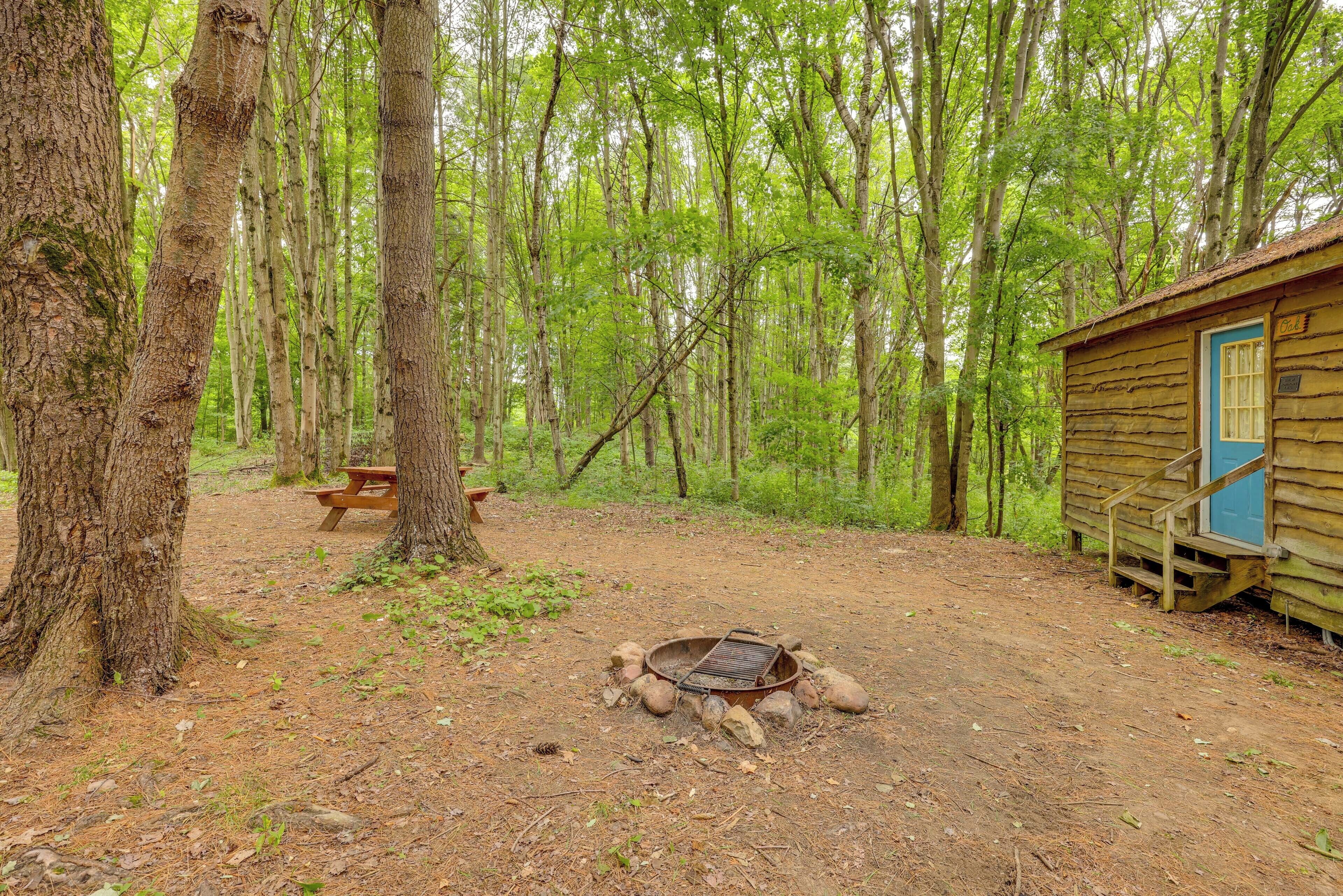 A rustic cabin with a fire pit and picnic table in a forested area.