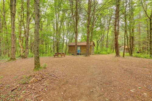 Letchworth Cabin: Lake Access, Slide, Canoe Rental