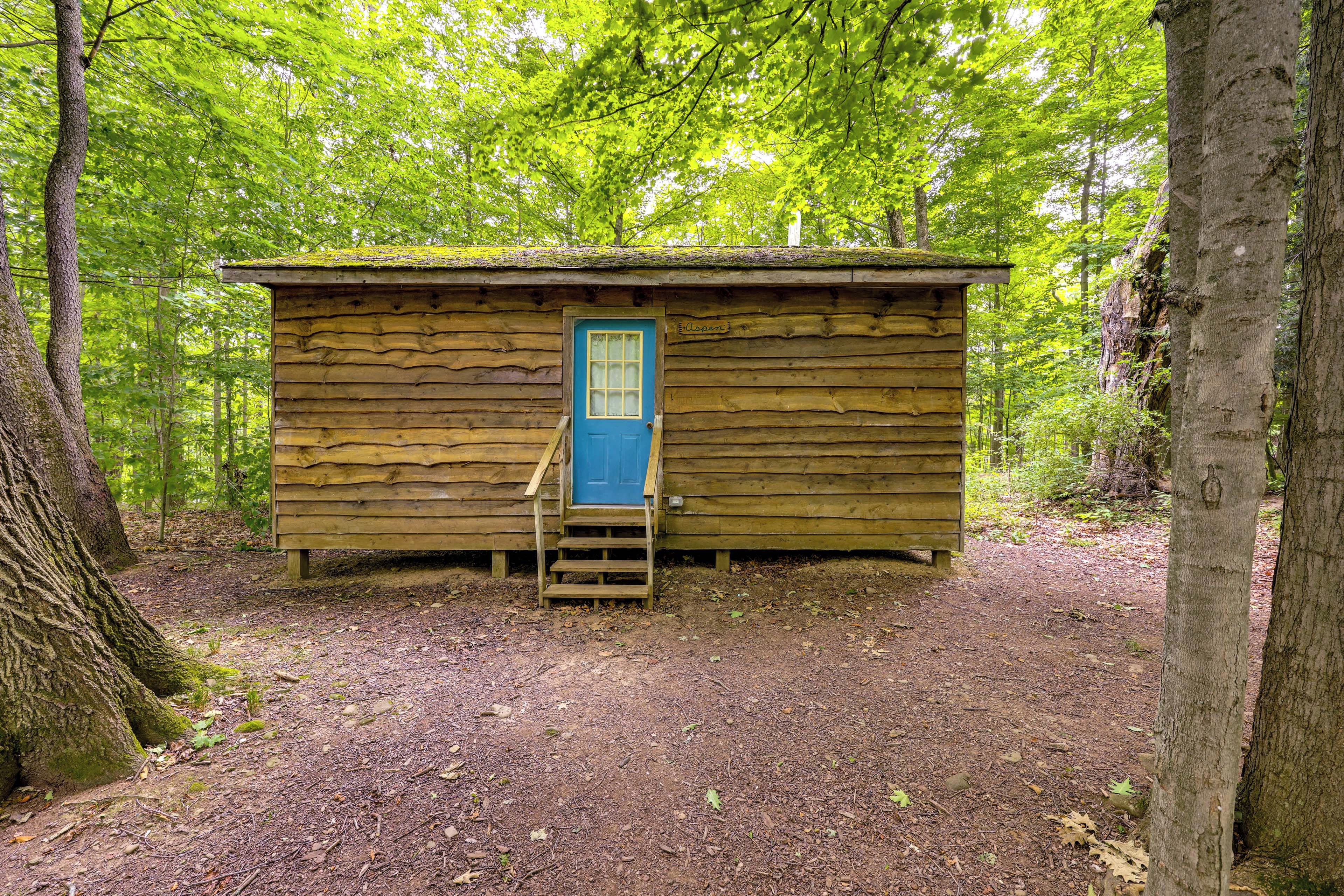 A small wooden cabin with a blue door, surrounded by trees.