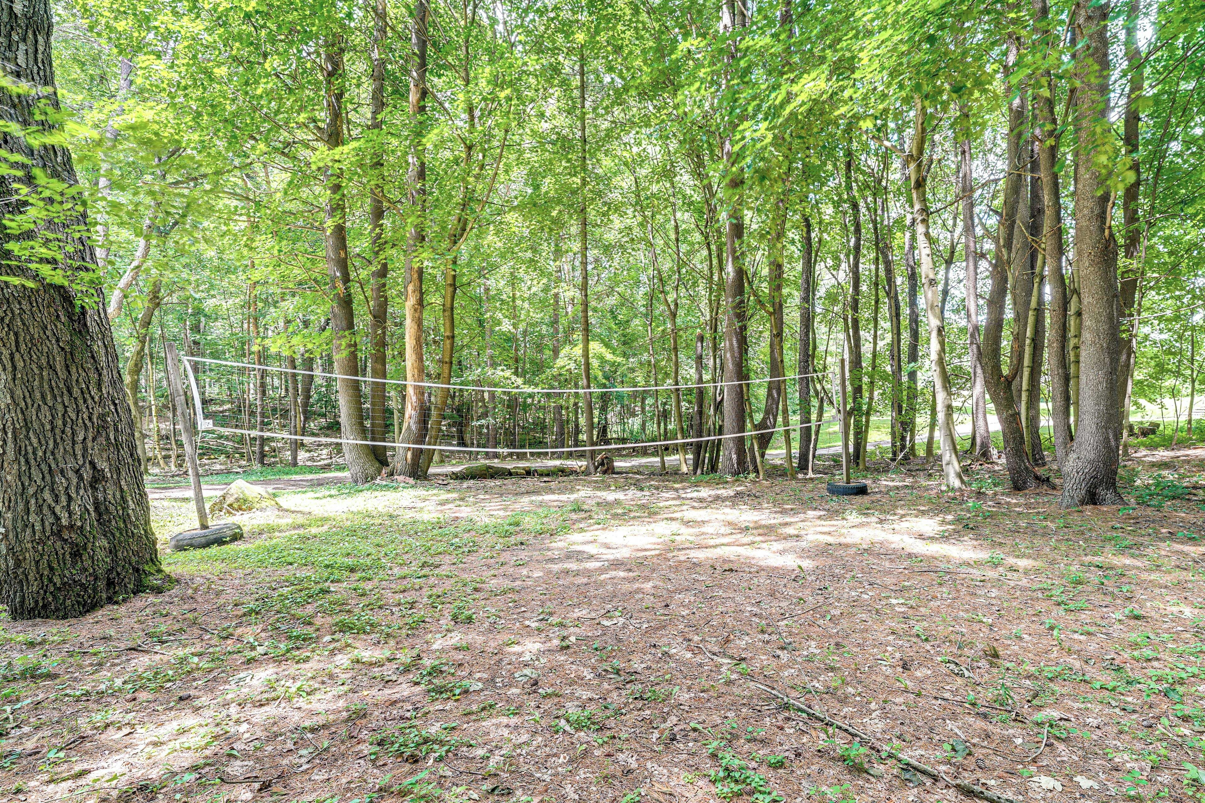 A hammock strung between trees in a forested area with a dirt ground.