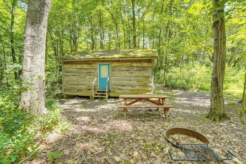 Fish, Slide & Unwind: Letchworth Valley Cabin!