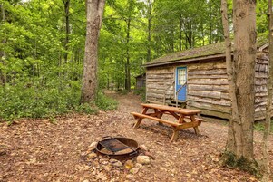 Una cabaña rústica con una mesa de picnic y un brasero en un área boscosa.