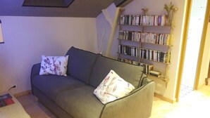 En stue med sofa, to puder, en bogreol og et lille bord med bøger.