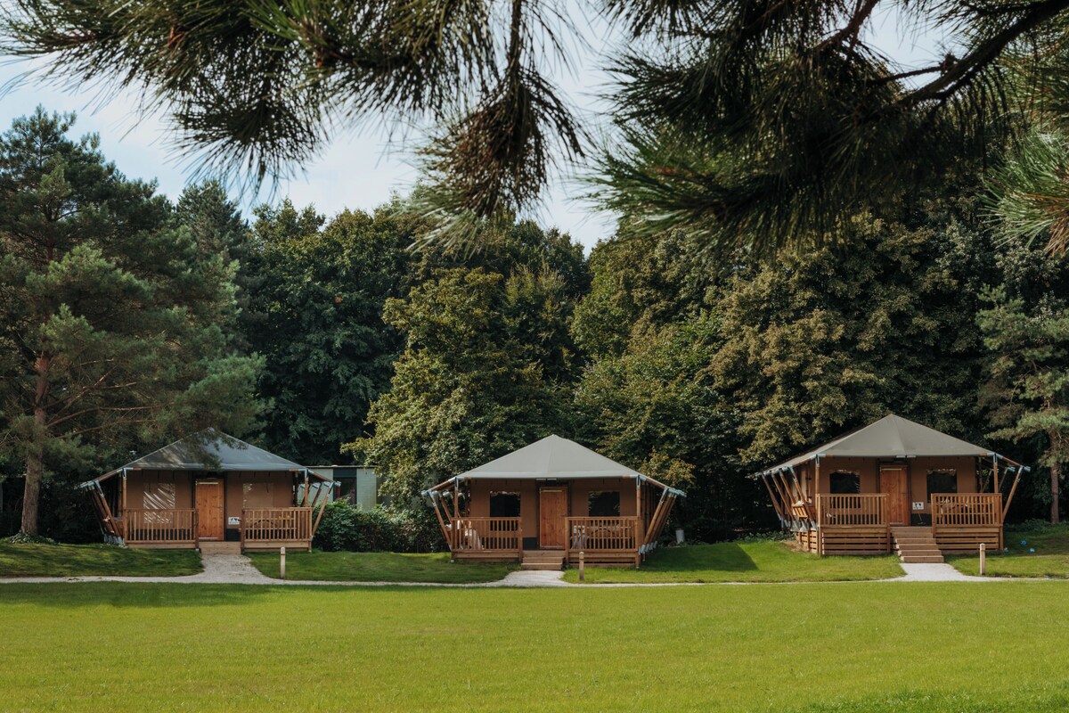 Trio Lodge - 3 Lodges next to each other for up to 18 People Eco-Wellness | View from room