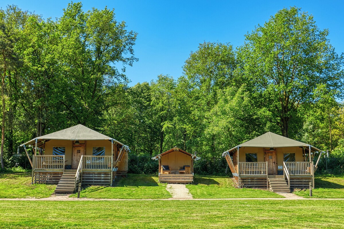 Three wooden cabins with balconies, set in a forested area with a clear sky.