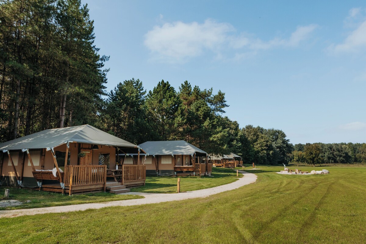 Duo Lodge - 2 Lodges Next to Each Other for up to 12 People Eco-Wellness | View from room
