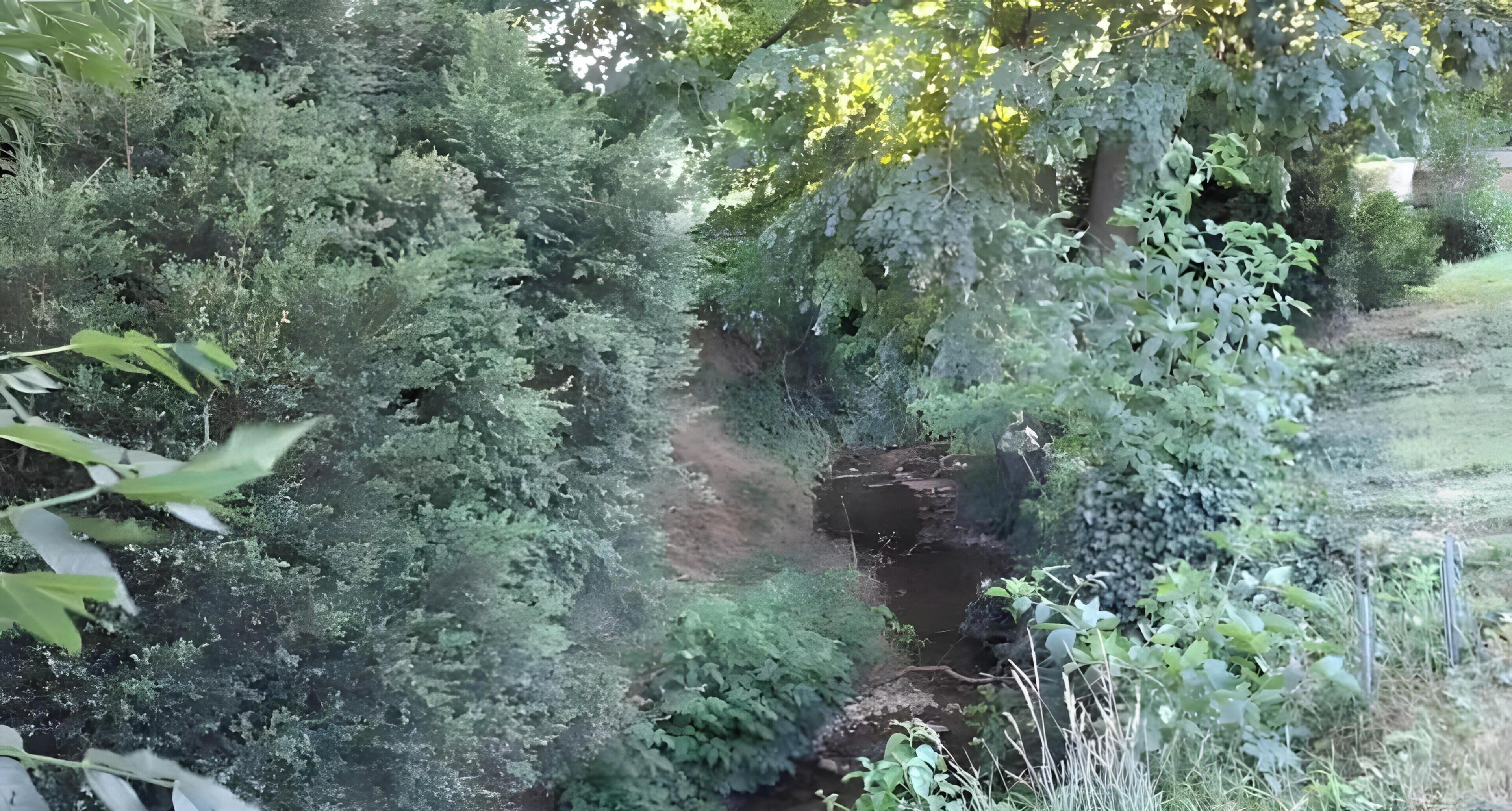 A natural landscape with a stream, dense foliage, and a rocky terrain.