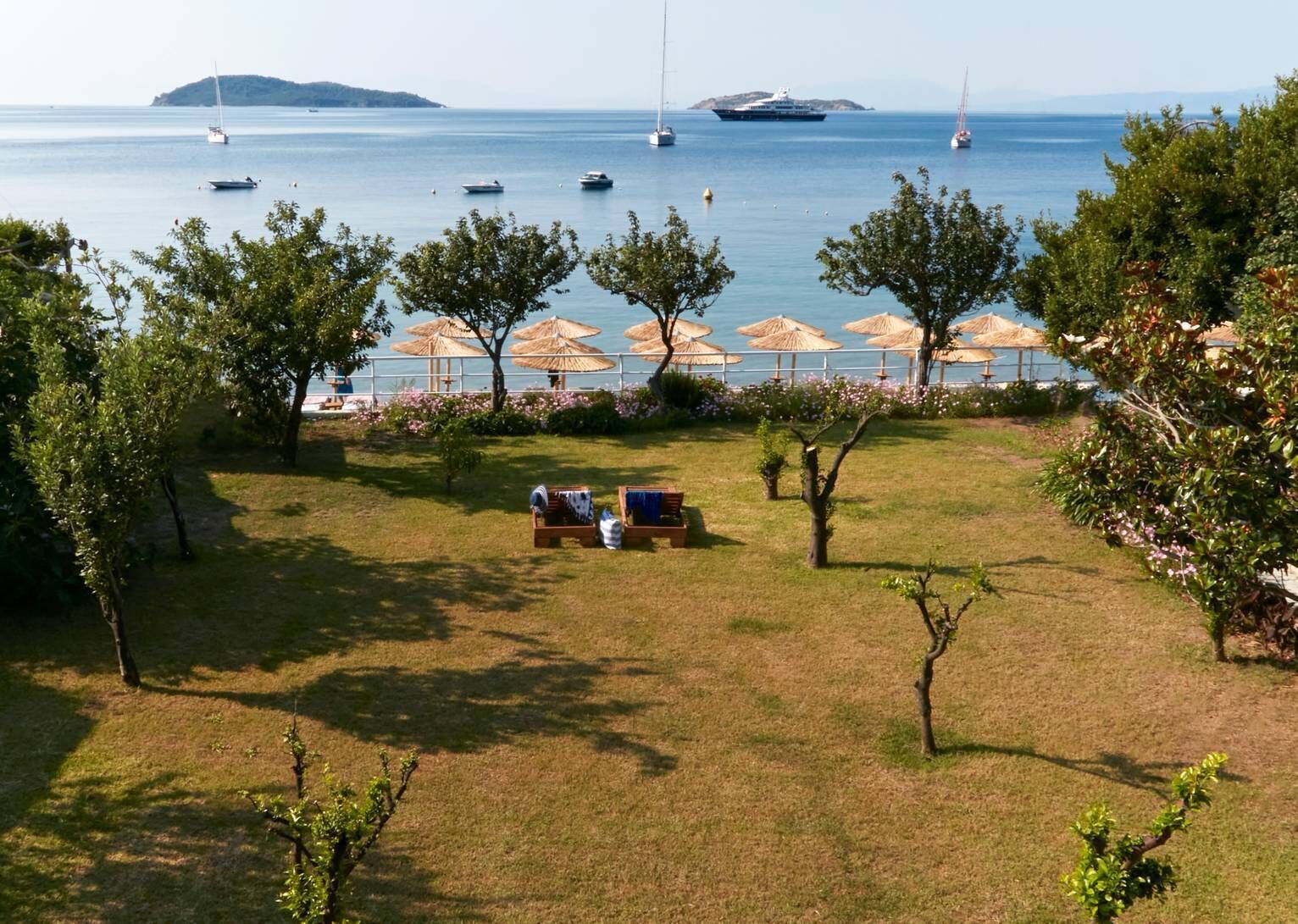 A coastal view with a grassy area, trees, and umbrellas.