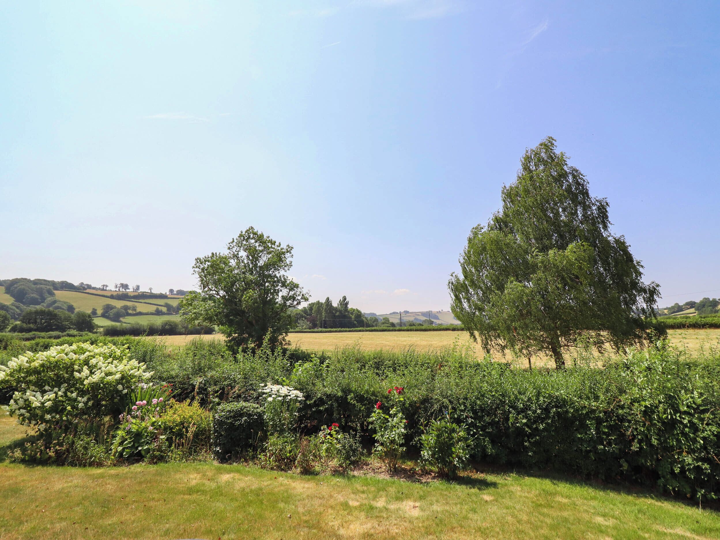 A rural landscape with rolling hills, a clear sky, and a variety of vegetation including trees and flowering plants.