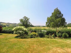 A grassy field with a variety of flowering plants and trees. - Pwll Glas (Caersws)