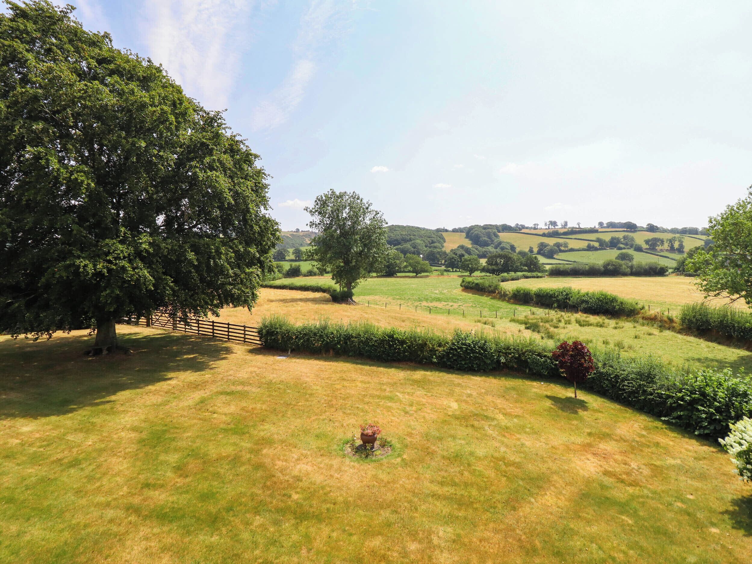 A rural landscape with rolling hills, a large tree, and a fenced area.