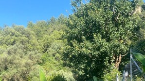 A swimming pool with metal ladders, surrounded by lush greenery and trees. - Elmalı Guest House 
A simple, serene, and deeply peaceful life awaits you! (Muğla)