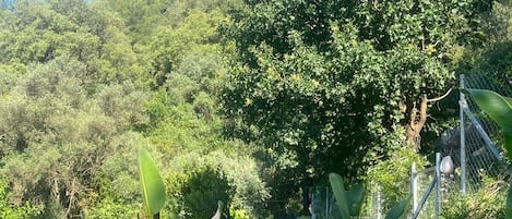A swimming pool with metal ladders, surrounded by lush greenery and trees.