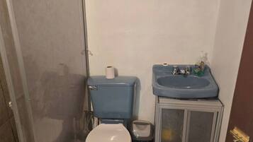 Cabane, 1 chambre, fumeurs | Salle de bain