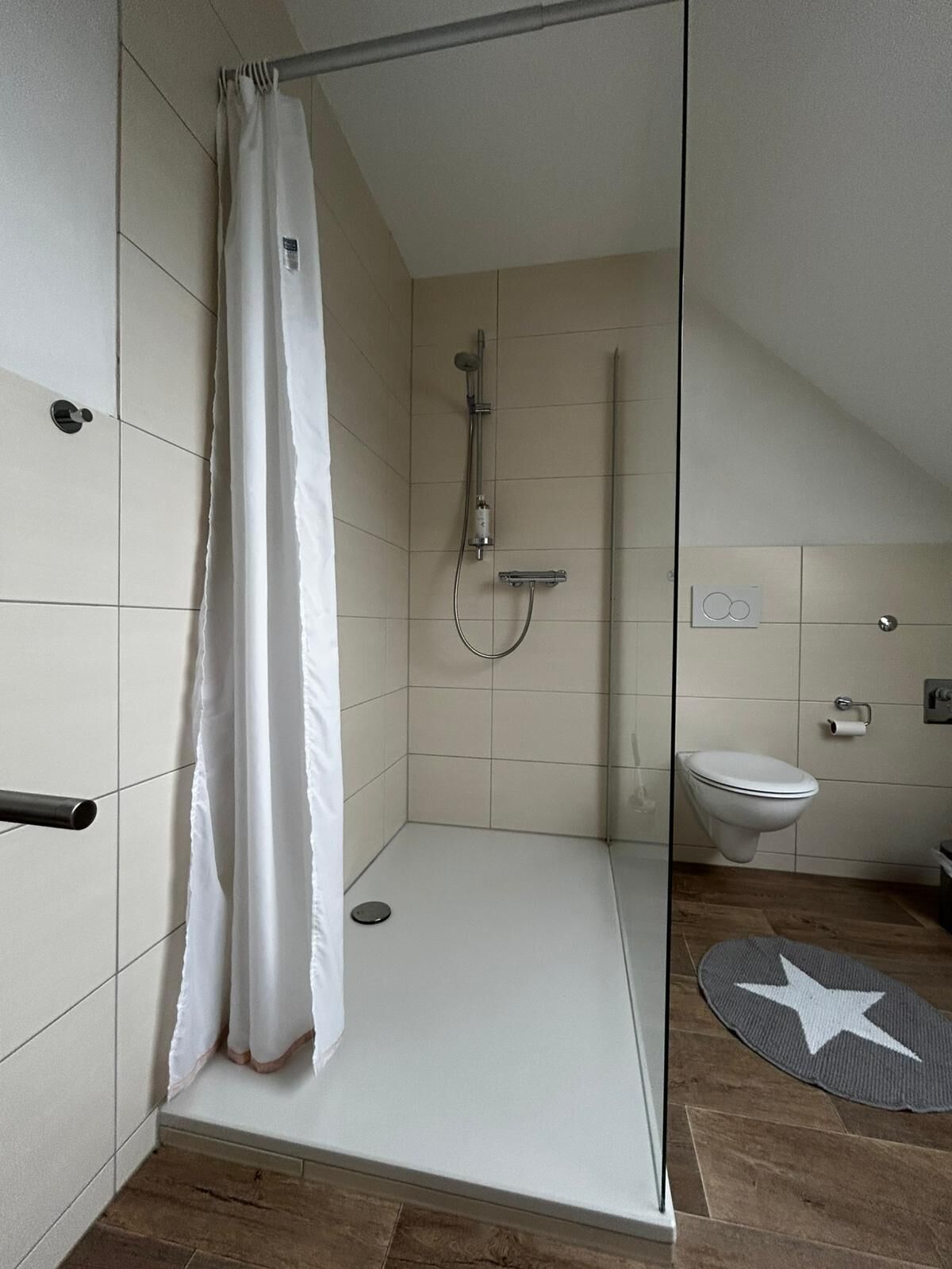 A modern bathroom with a glass shower enclosure, a toilet, and a star-patterned rug.