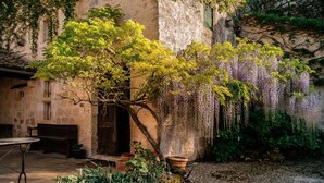 A rustic stone building with a tree in front, a bench, and a hanging flower display.