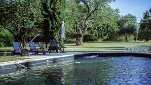 A swimming pool with clear water, surrounded by a stone border, and shaded by trees.