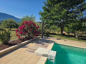Una piscina con agua azul cristalina, rodeada por un jardín con diversas plantas y un árbol.