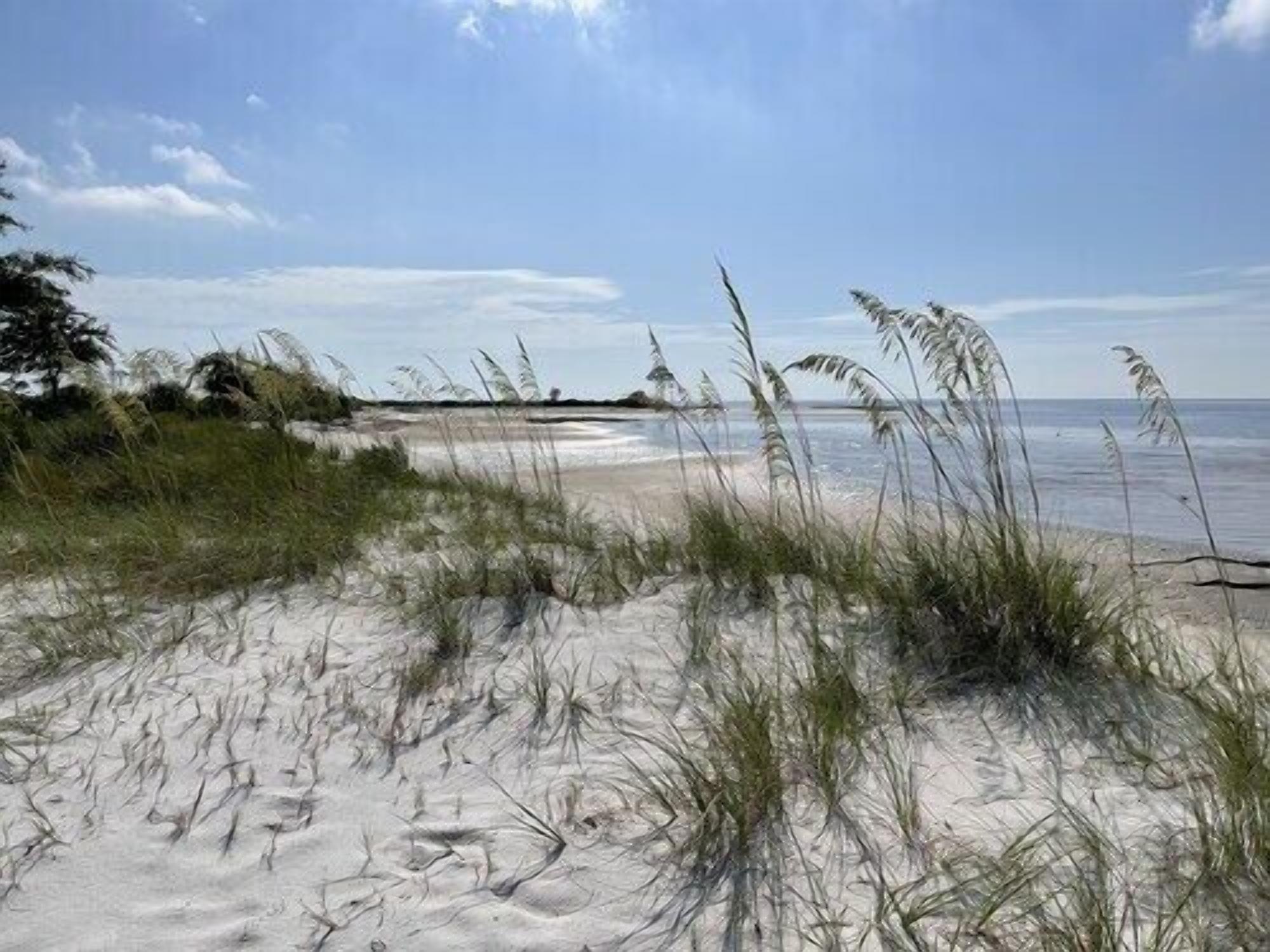 Une plage avec des dunes de sable et une végétation clairsemée.